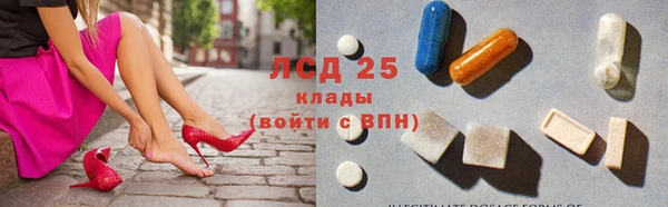 сатива Балахна