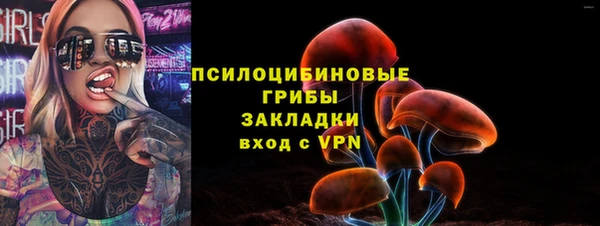 сатива Балахна